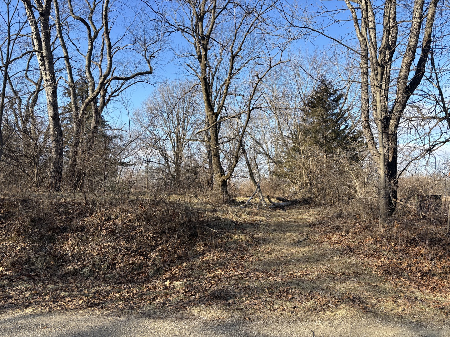 main property photo 3
