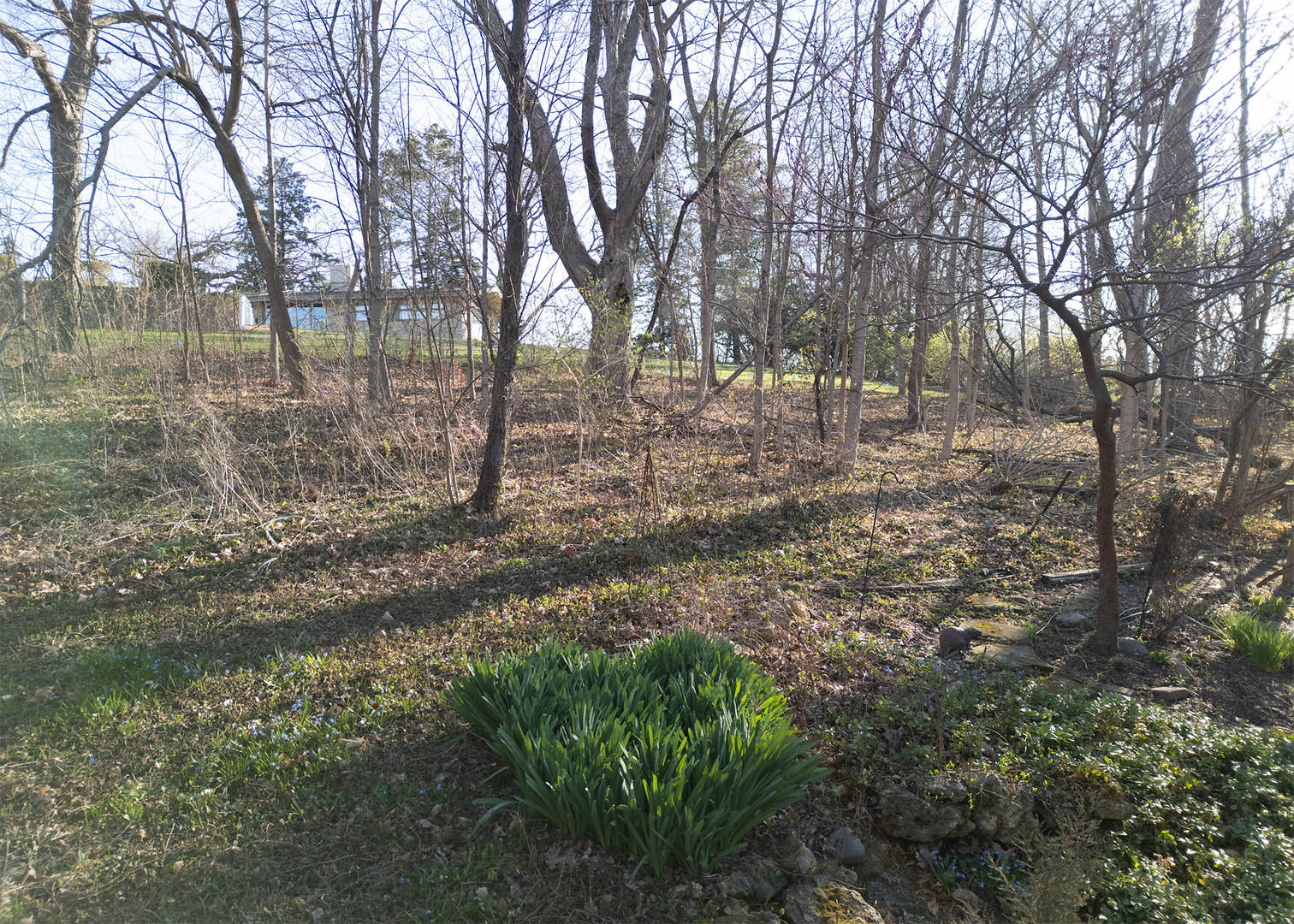 main property photo 31