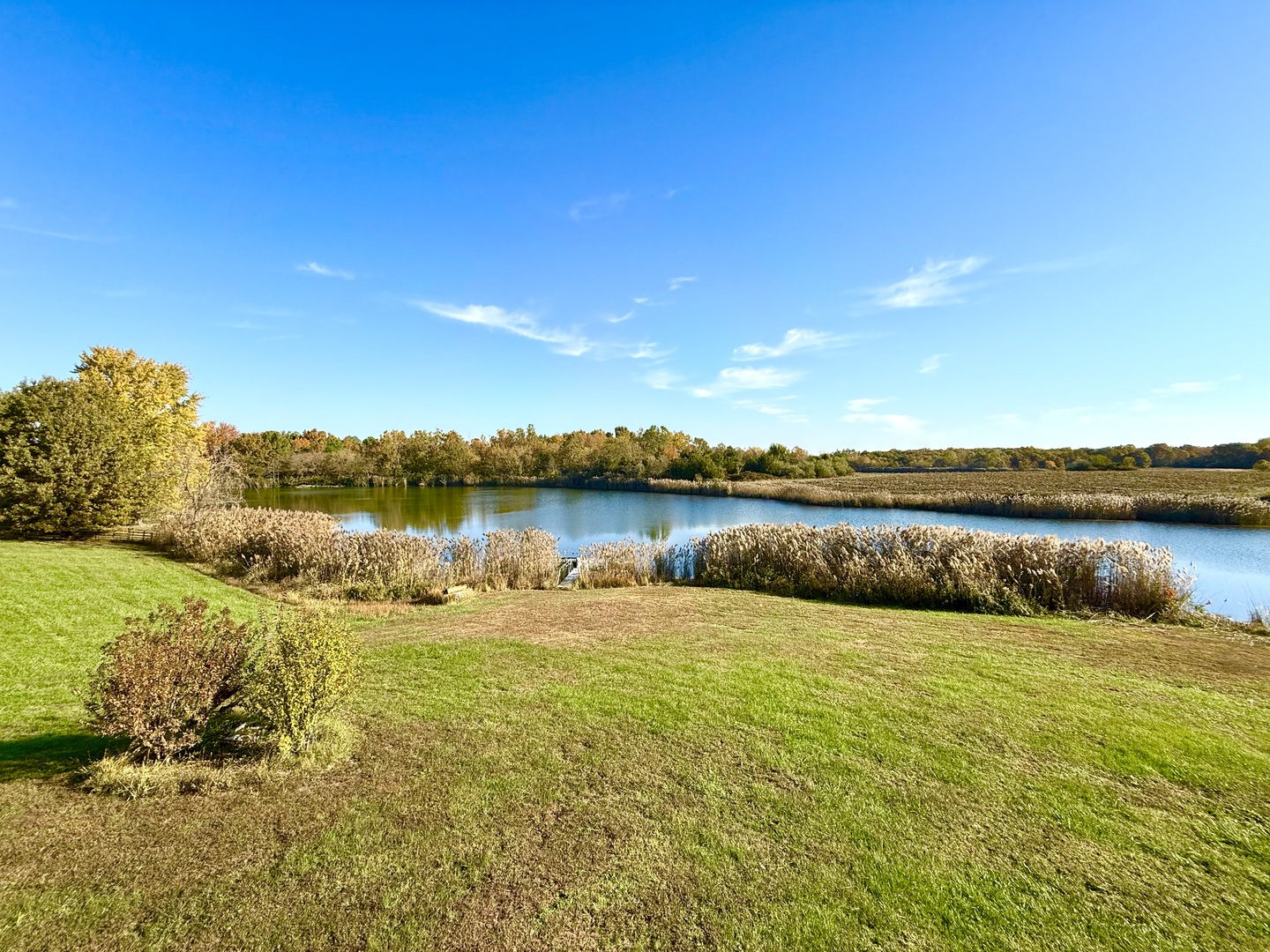 main property photo 53