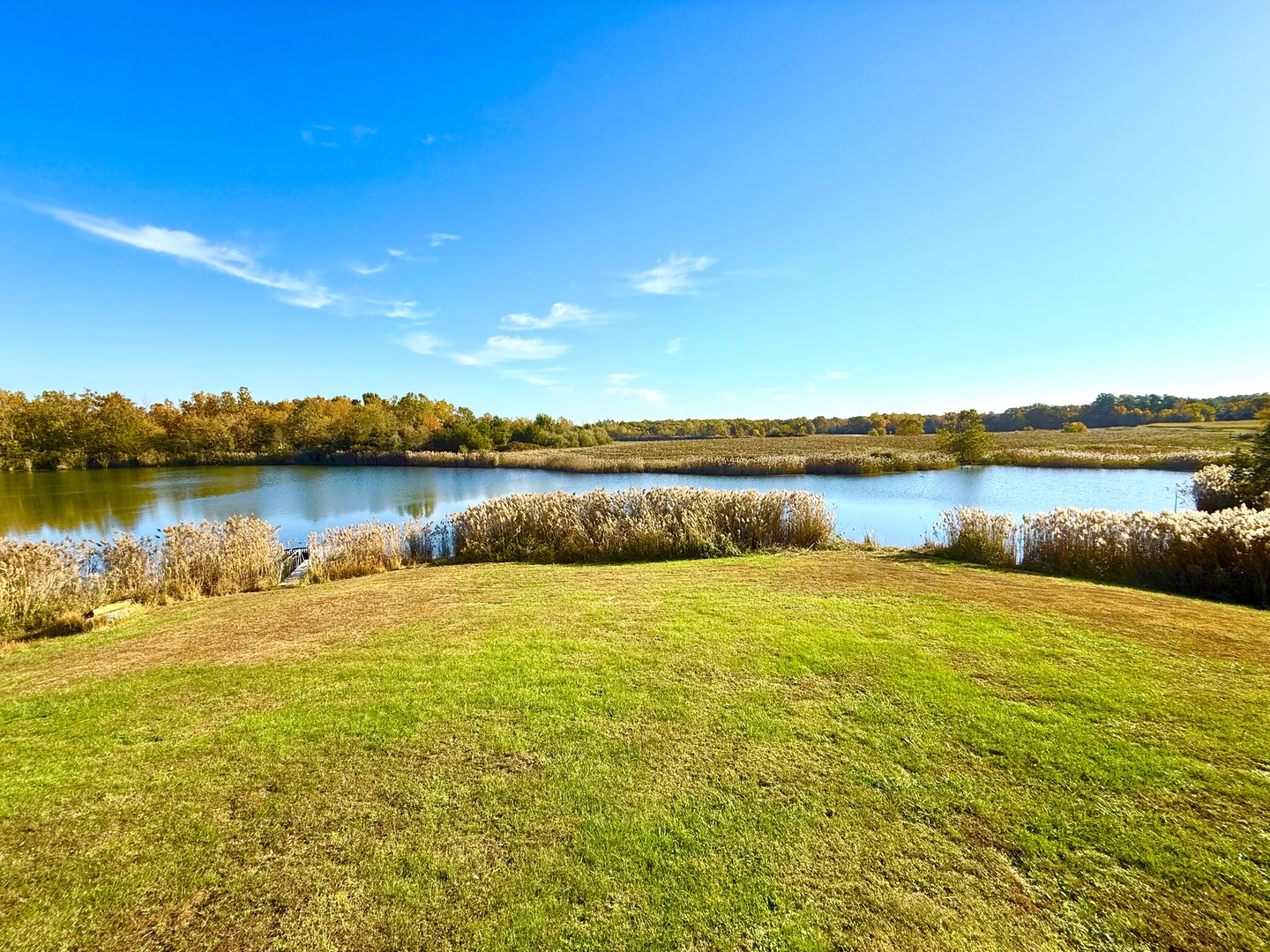 main property photo 54