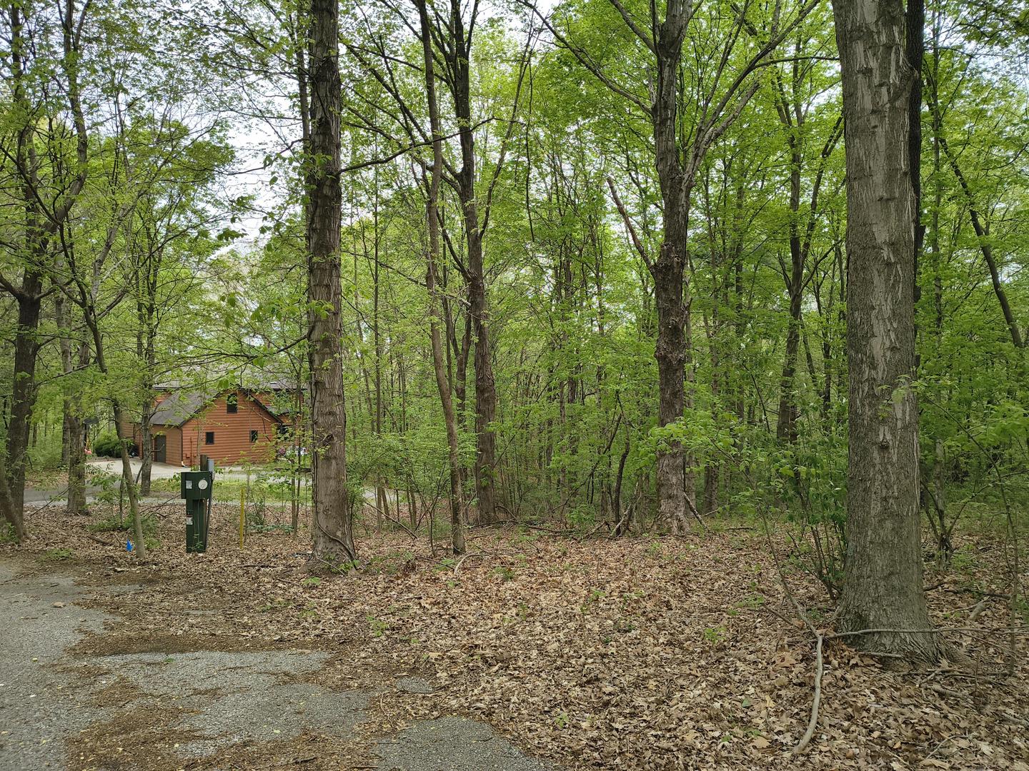 main property photo 10