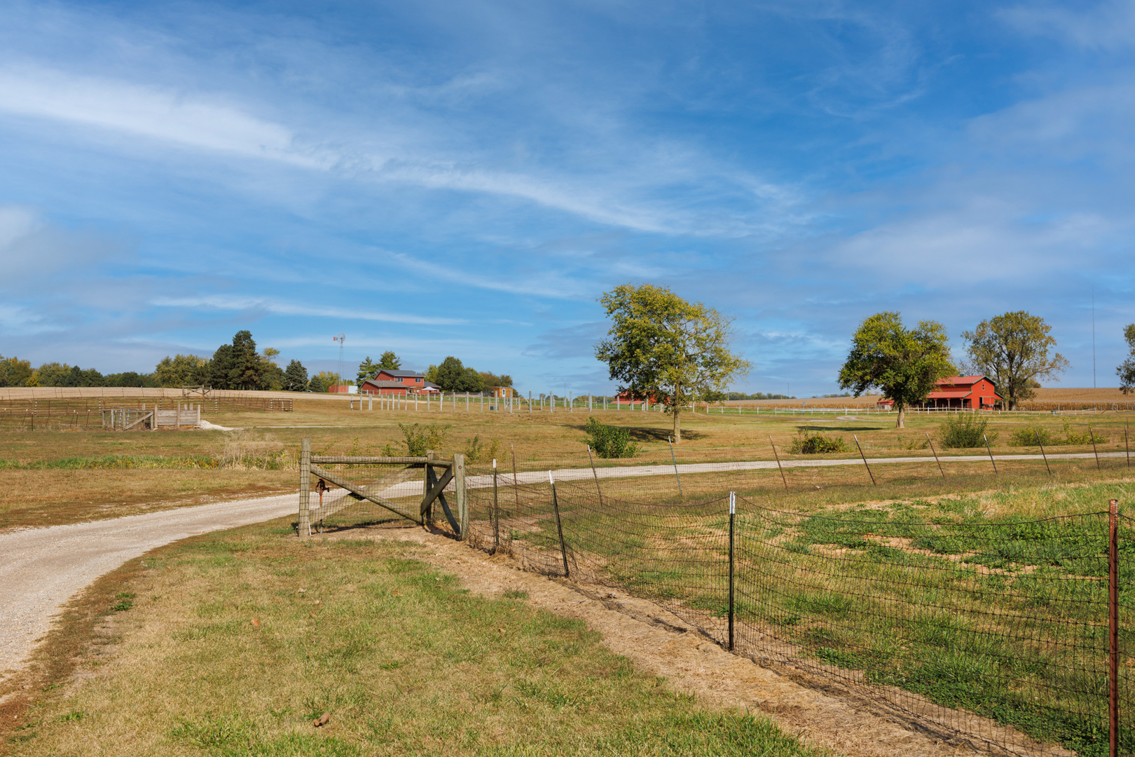 main property photo 67