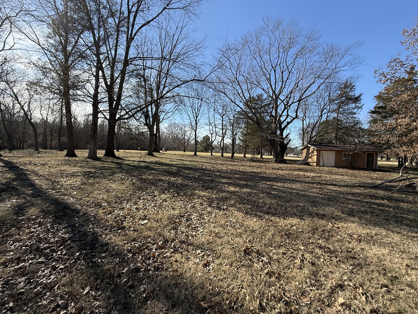 main property photo 6