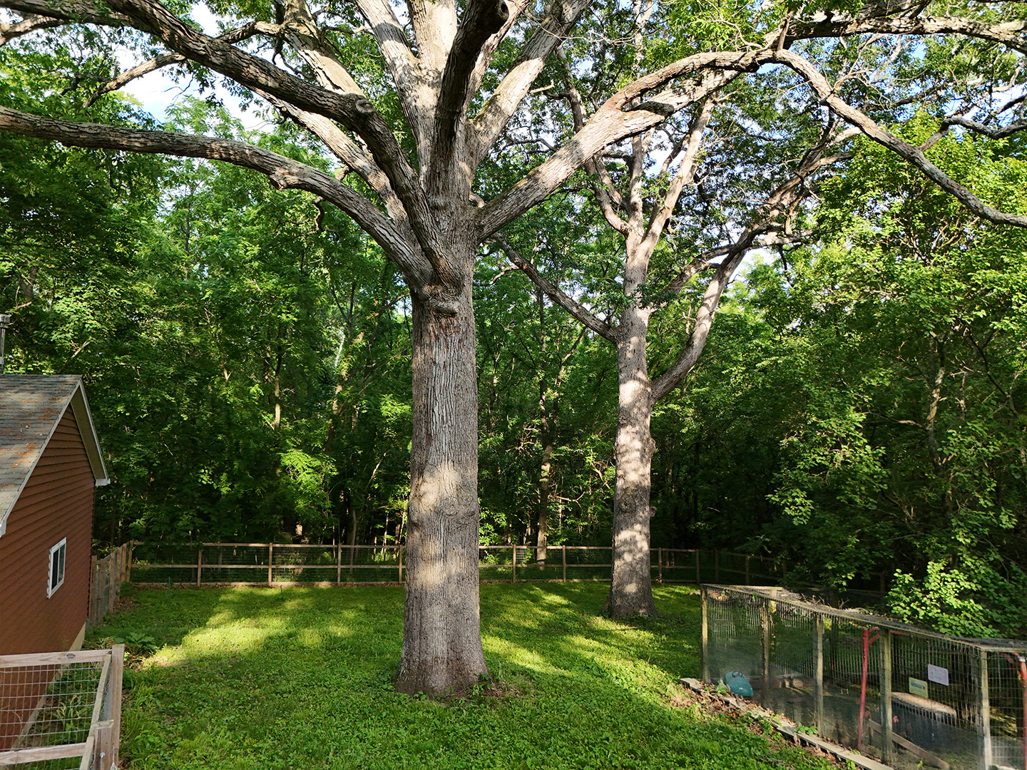main property photo 23