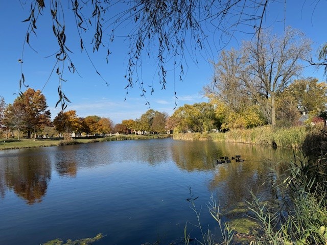 main property photo 24