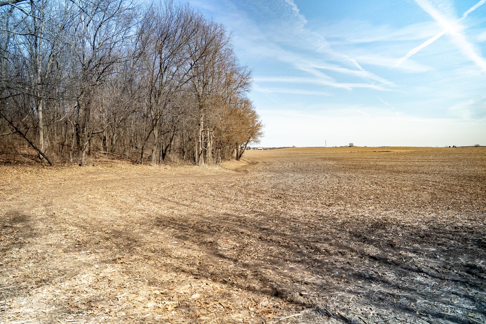 main property photo 59