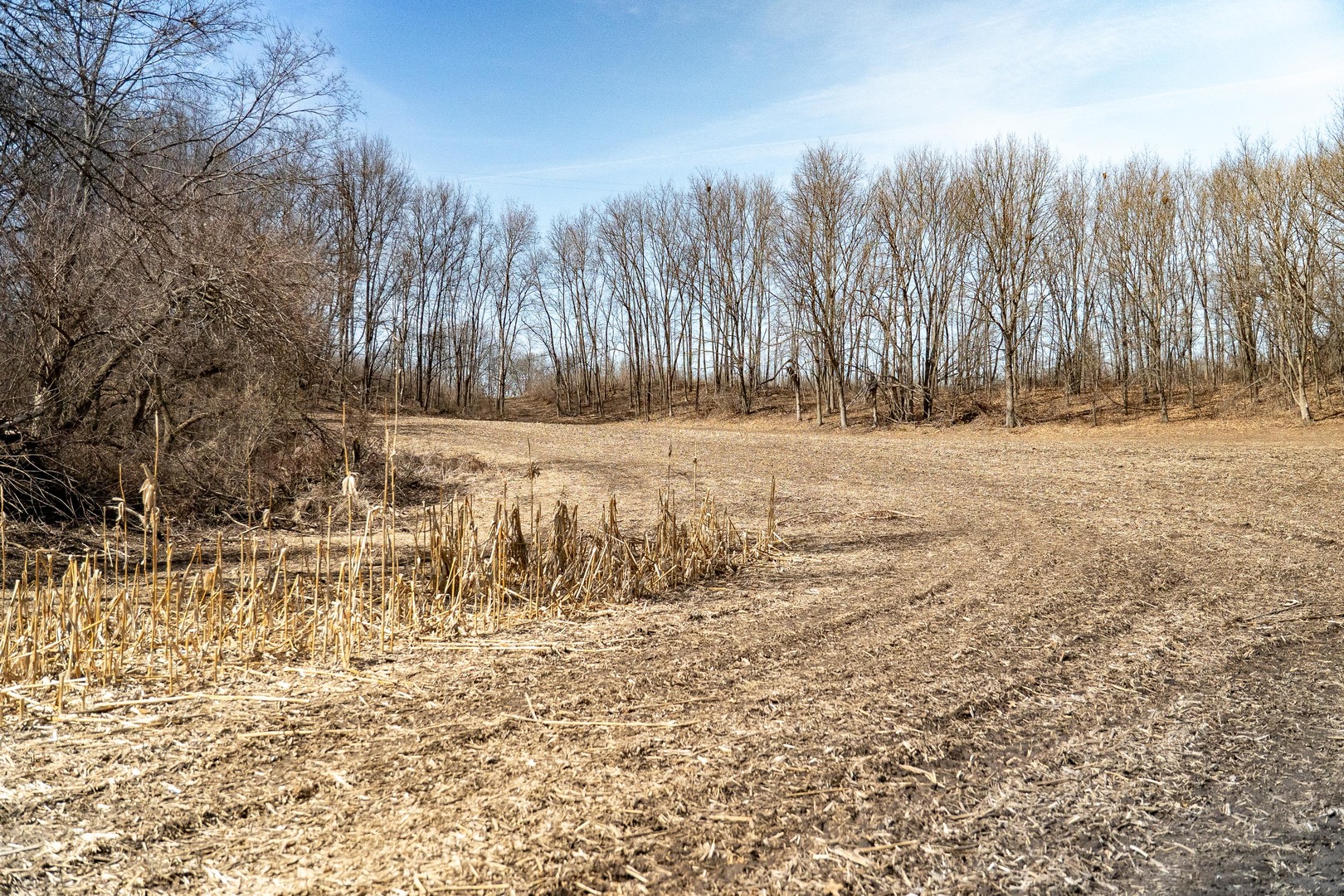 main property photo 62