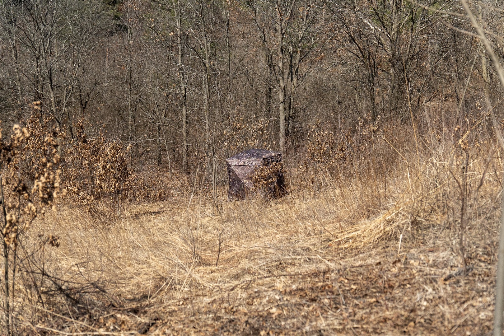 main property photo 64