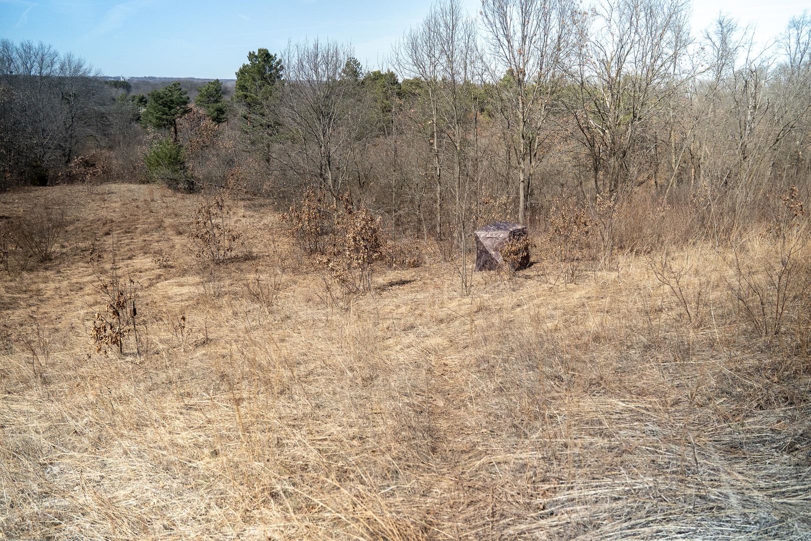main property photo 67