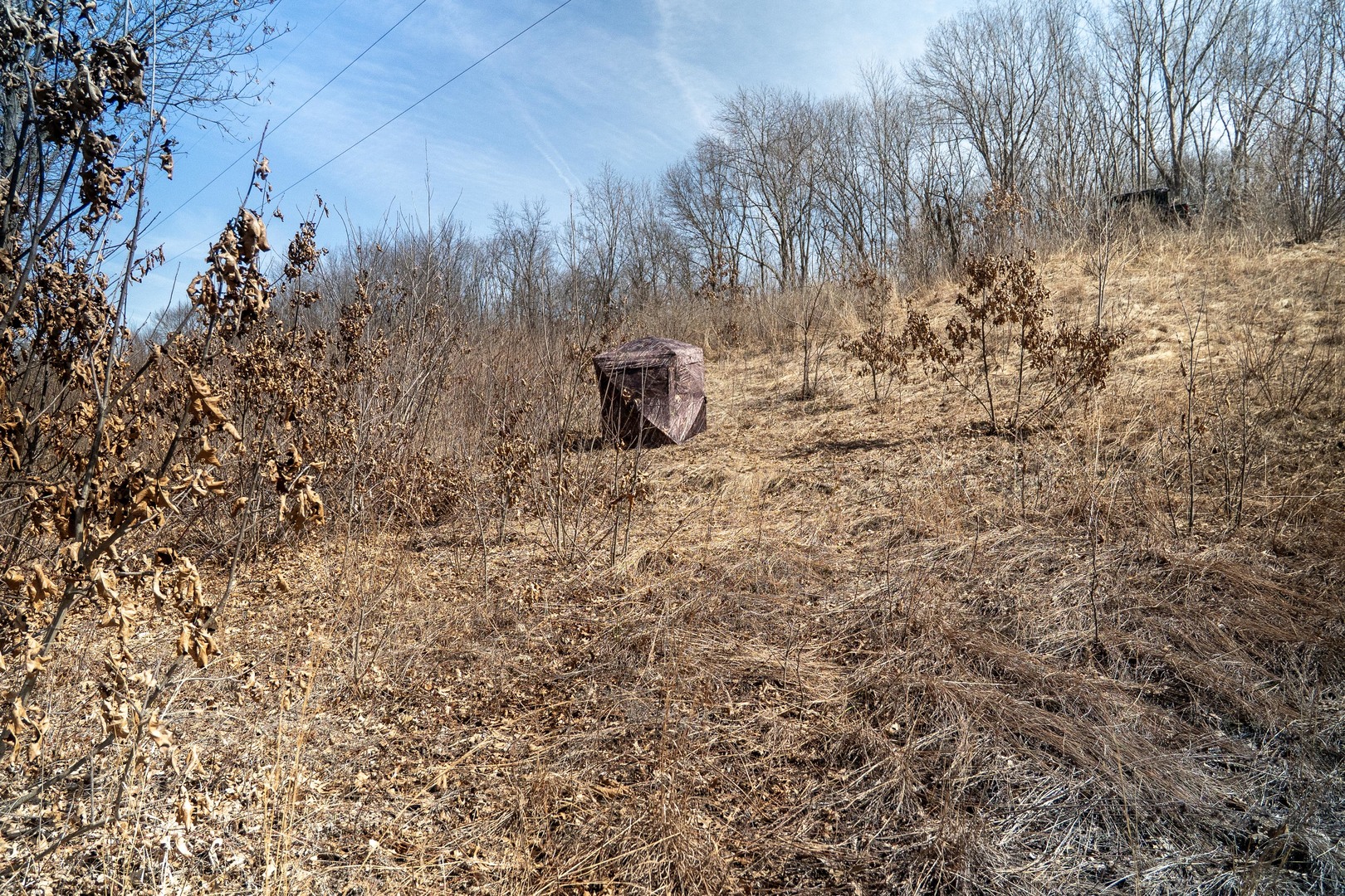 main property photo 70