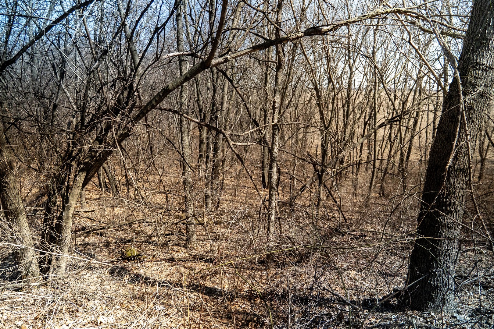 main property photo 73
