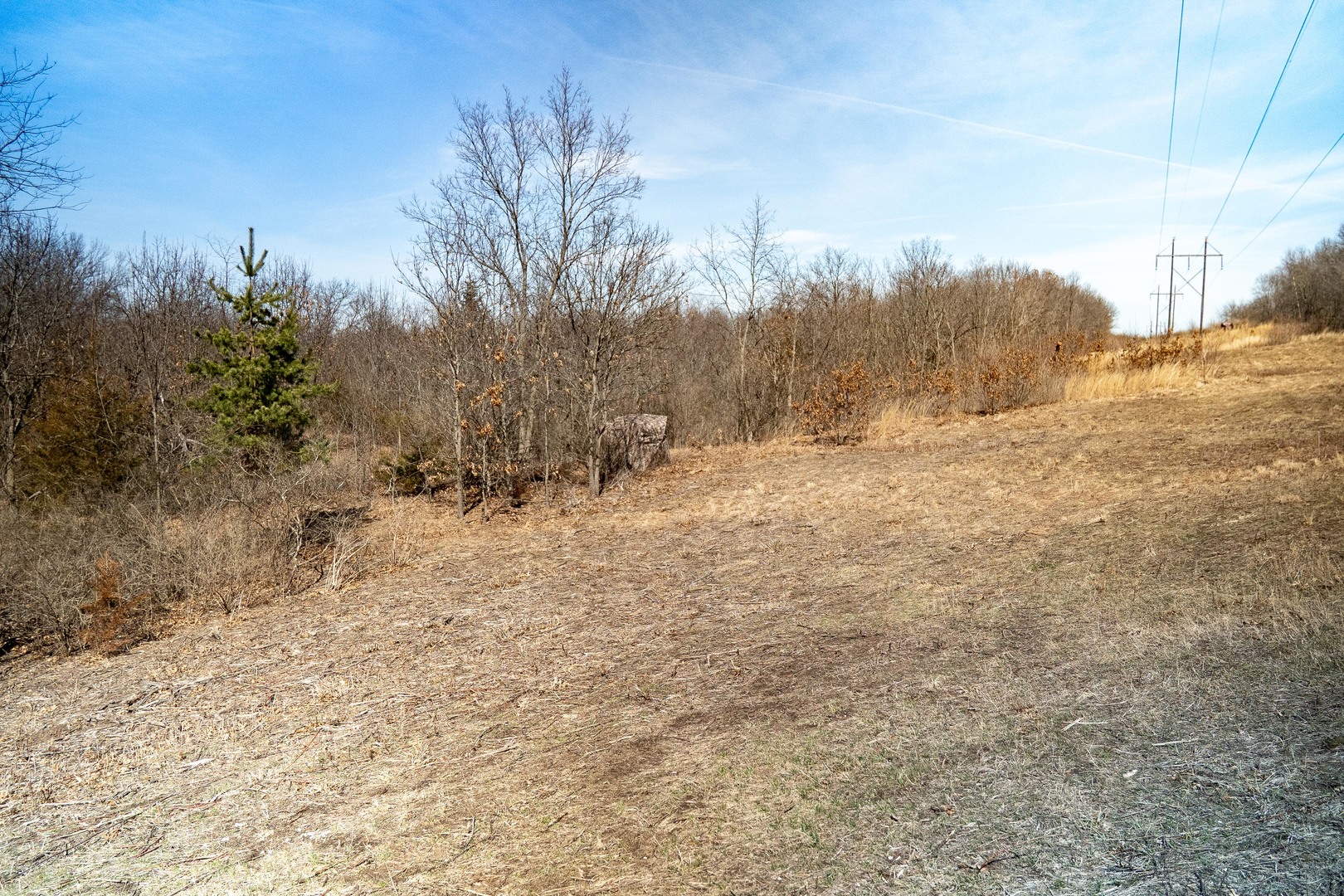 main property photo 75
