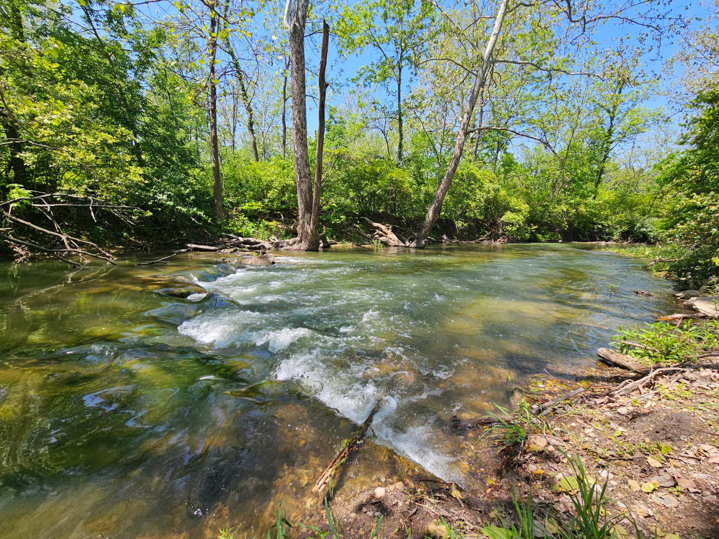 main property photo 91