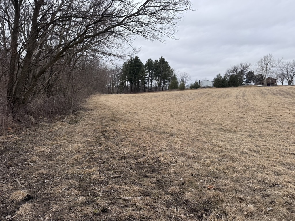 main property photo 10