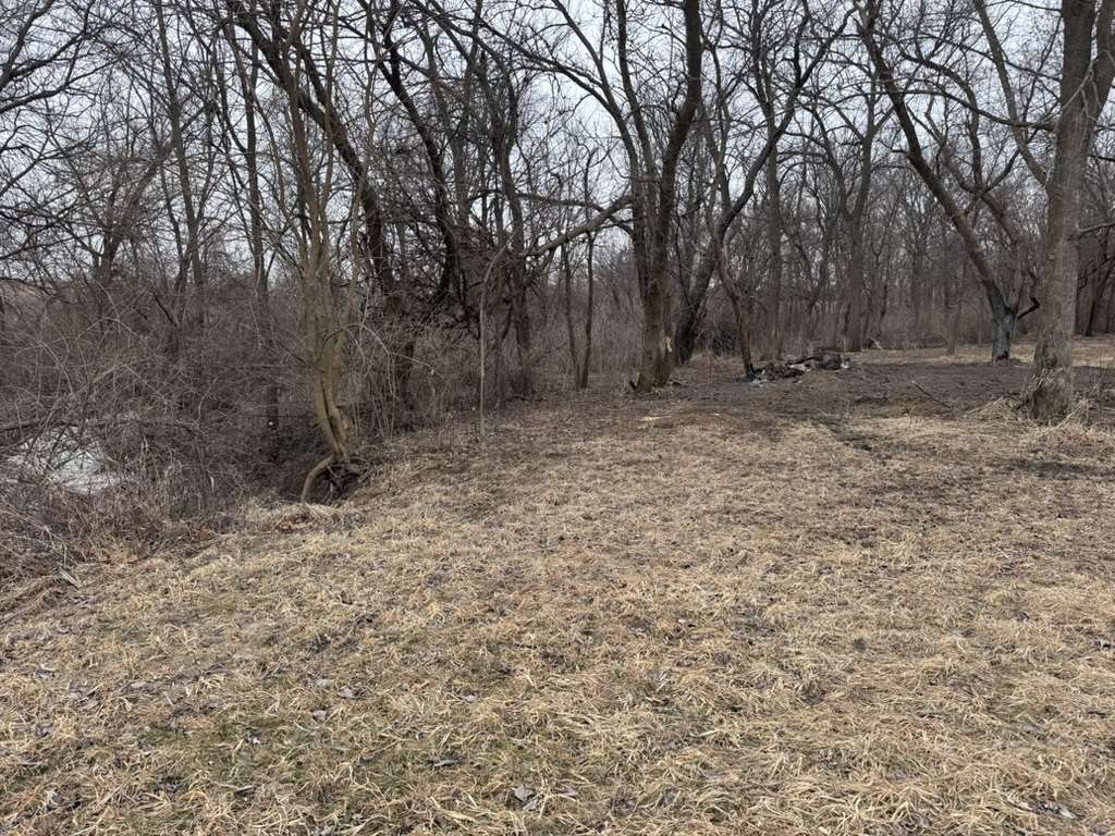 main property photo 13