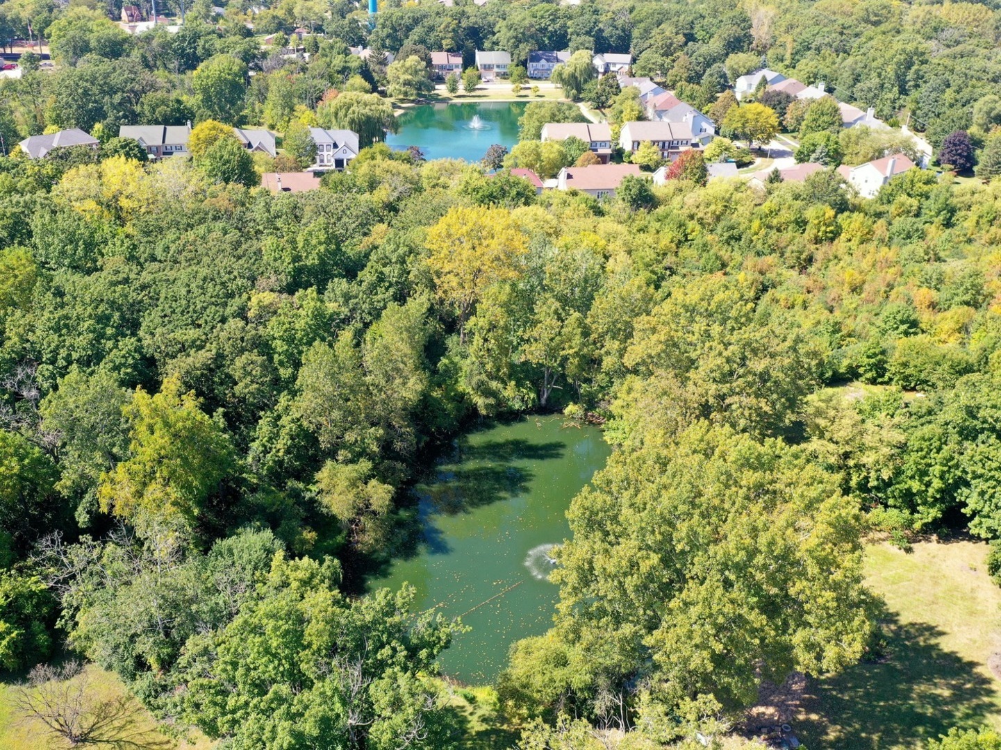 main property photo 10