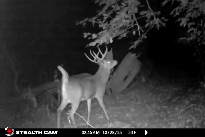 main property photo 55