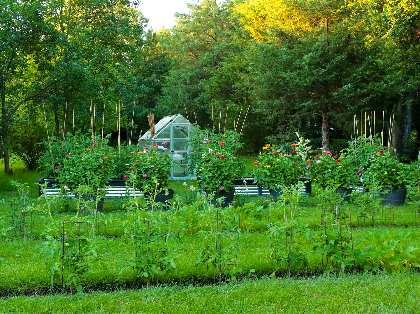main property photo 13