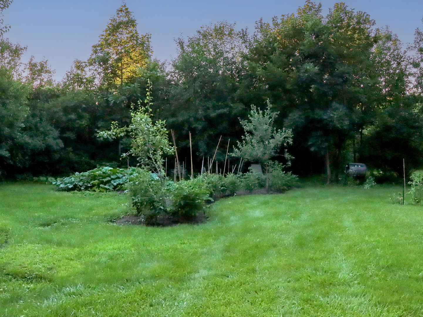 main property photo 14