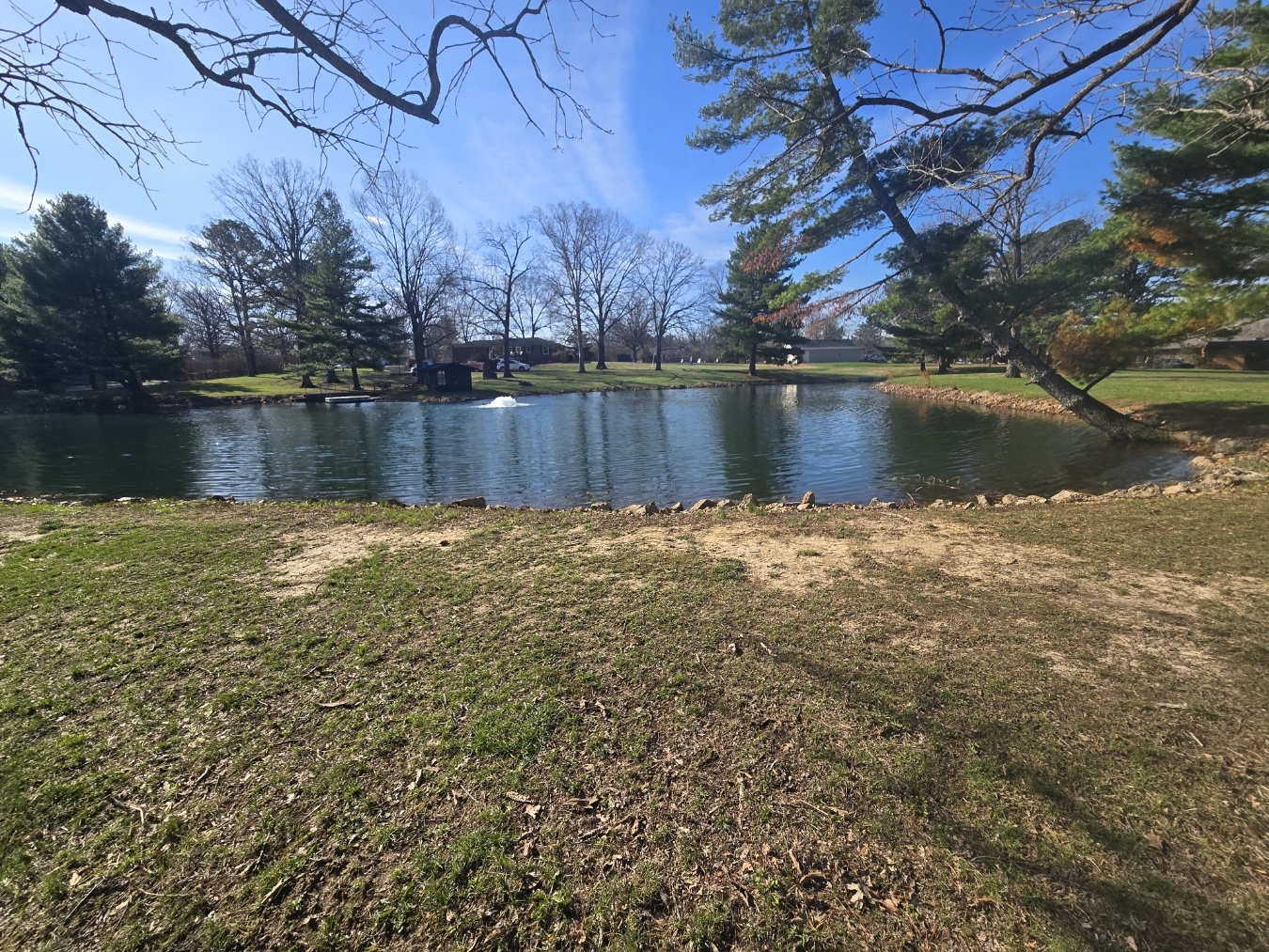 main property photo 9