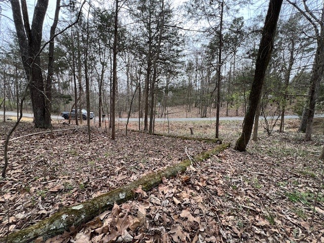main property photo 4