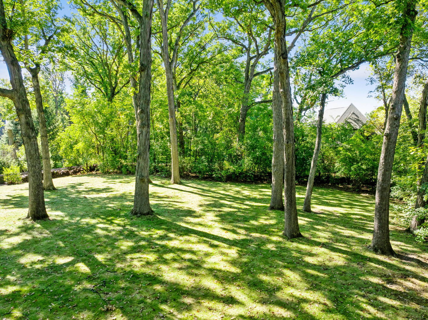 main property photo 52