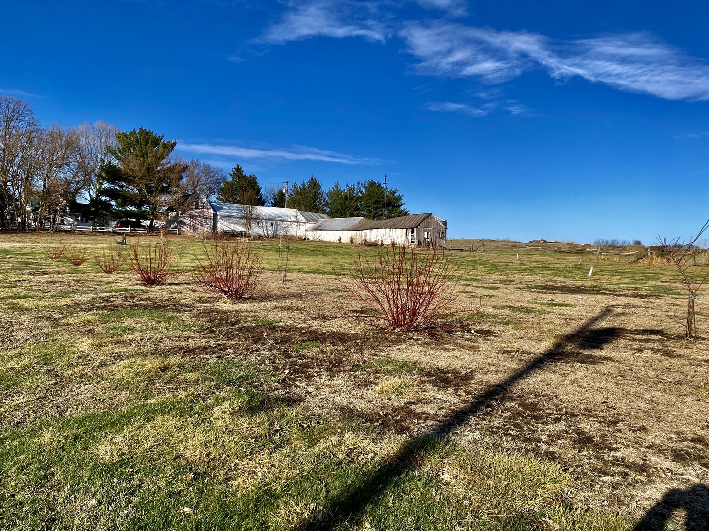main property photo 13