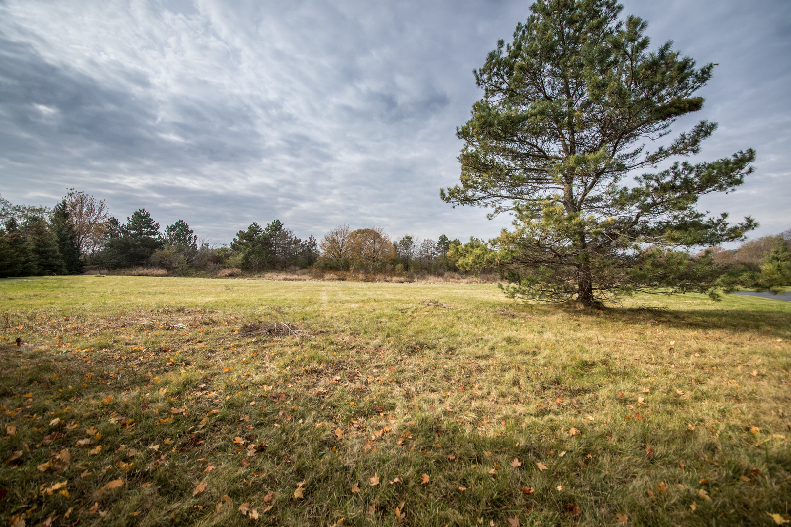 main property photo 15