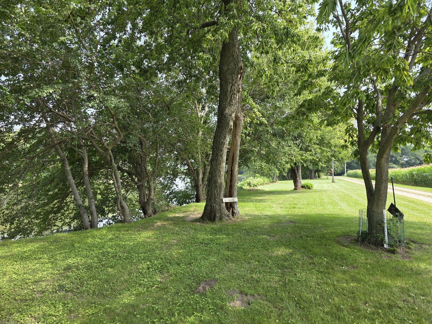main property photo 13