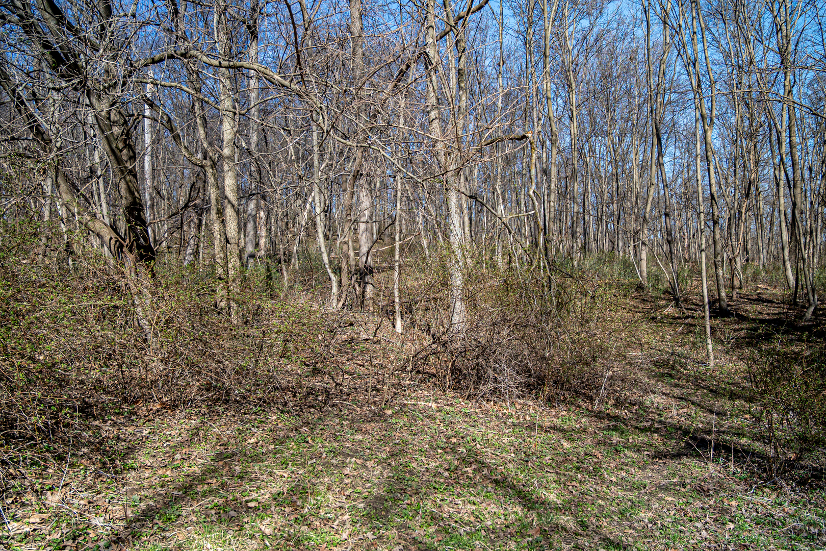main property photo 35