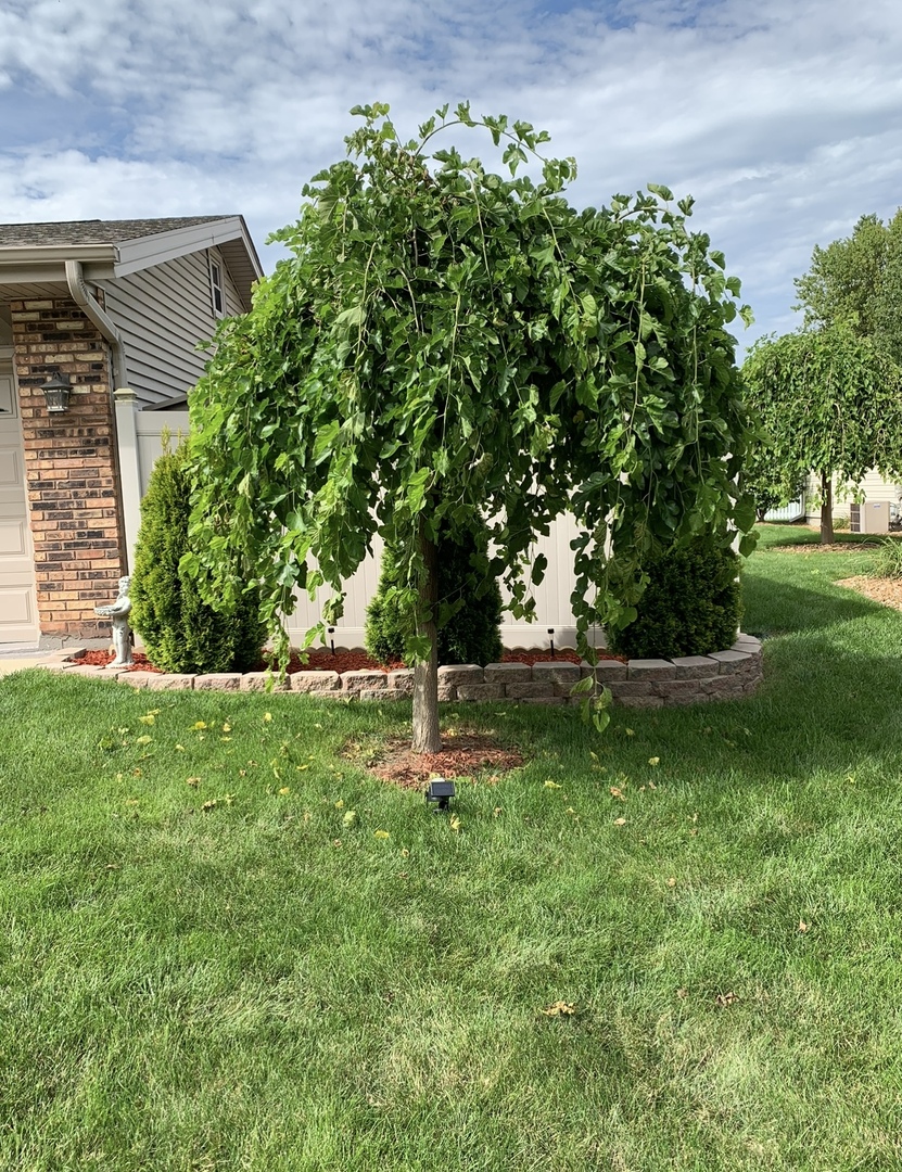 main property photo 42