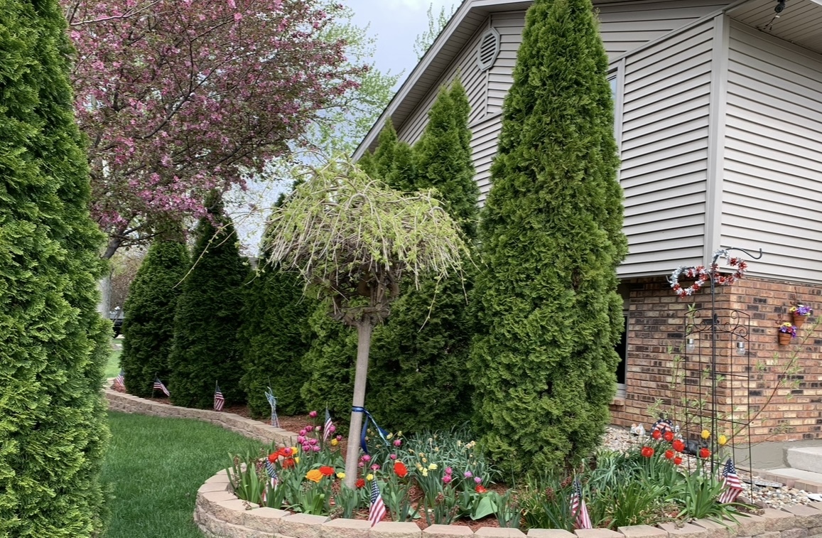 main property photo 43
