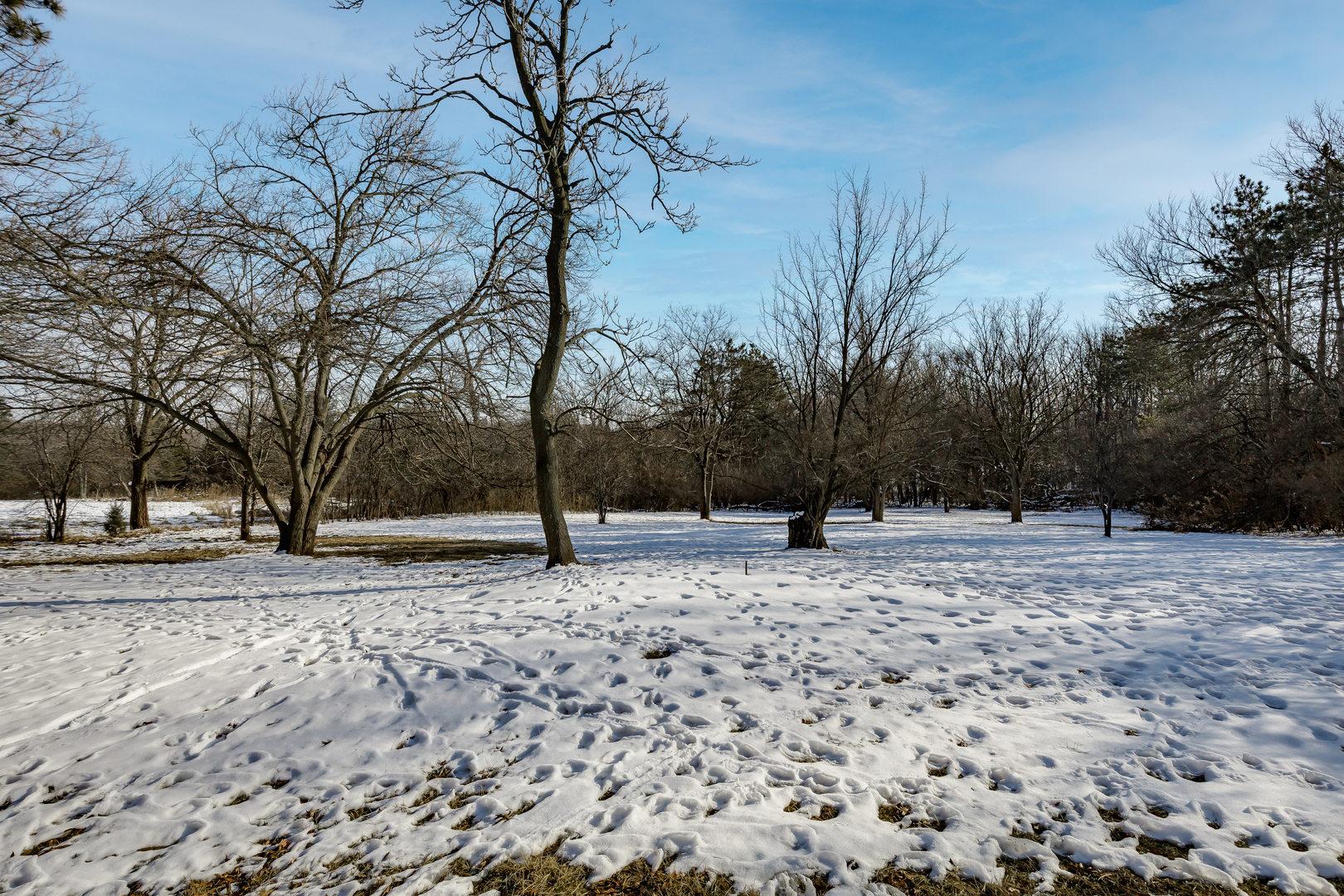 main property photo 7