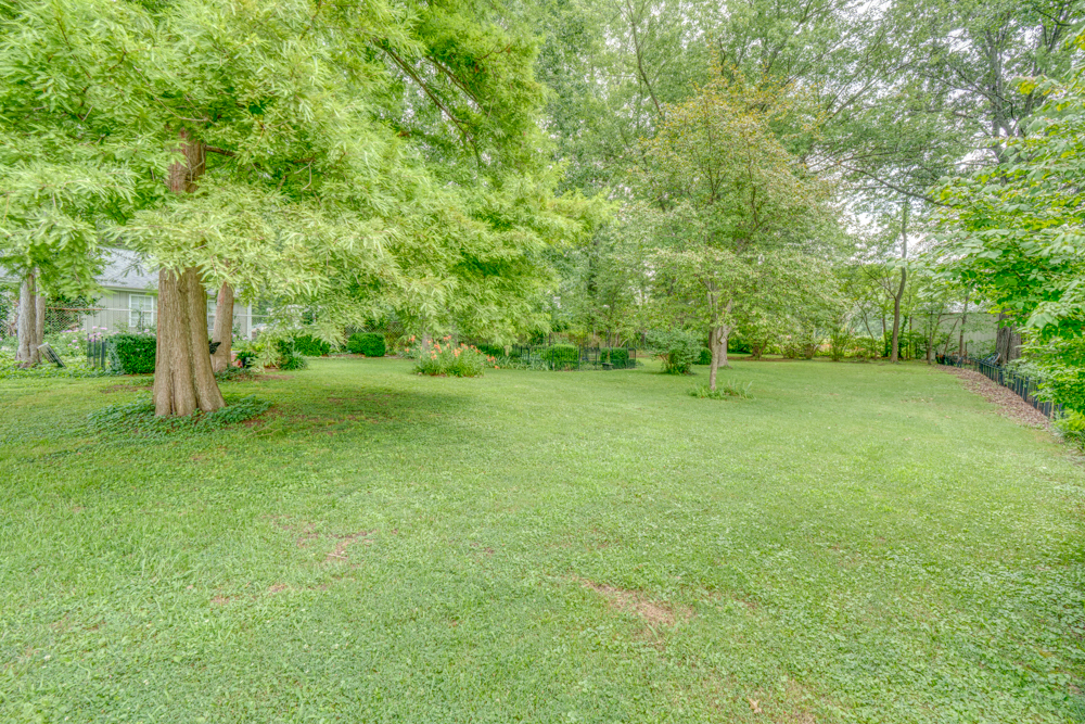main property photo 79