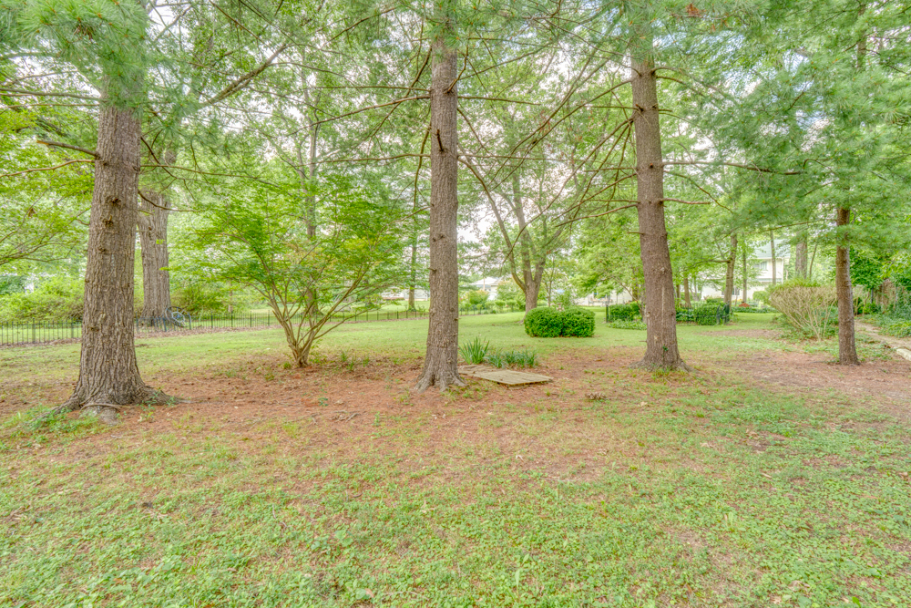 main property photo 82