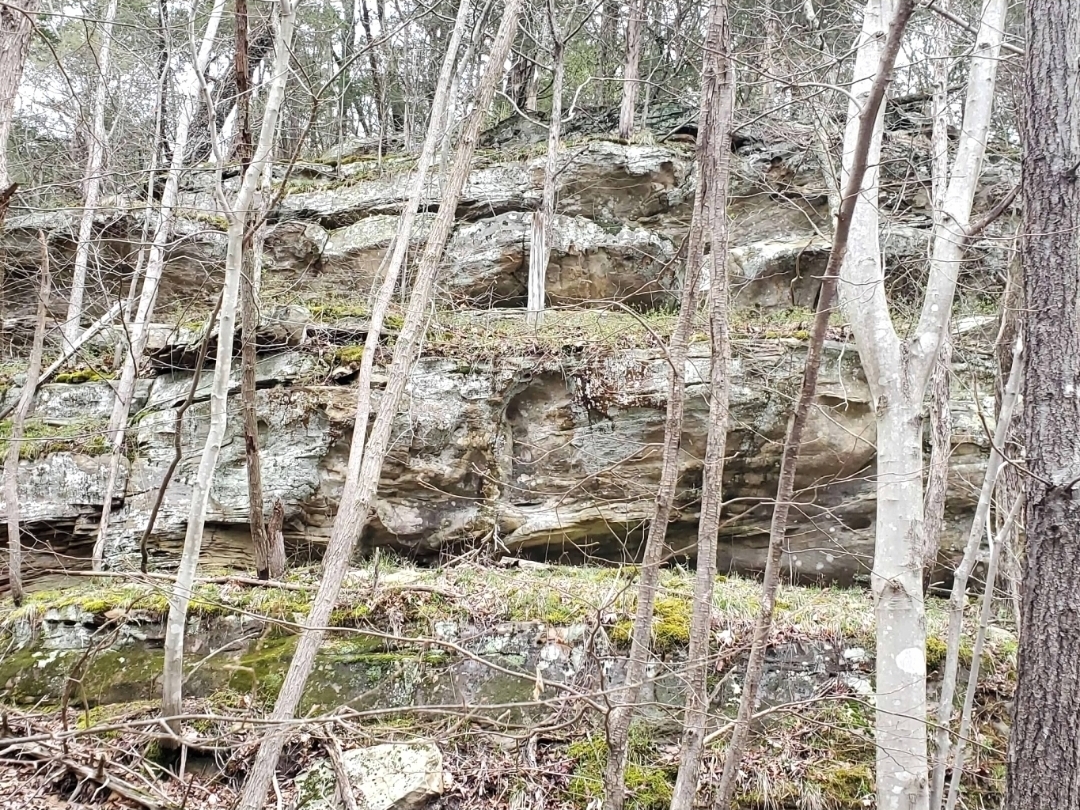 main property photo 45