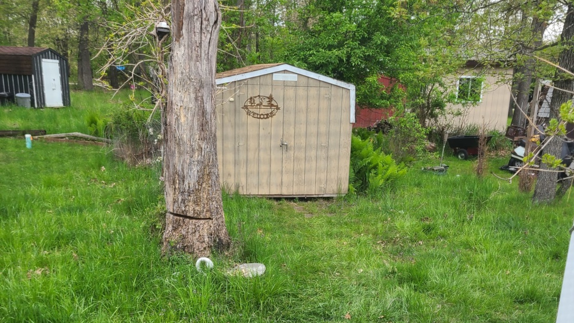 main property photo 6