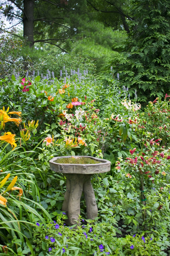 main property photo 62