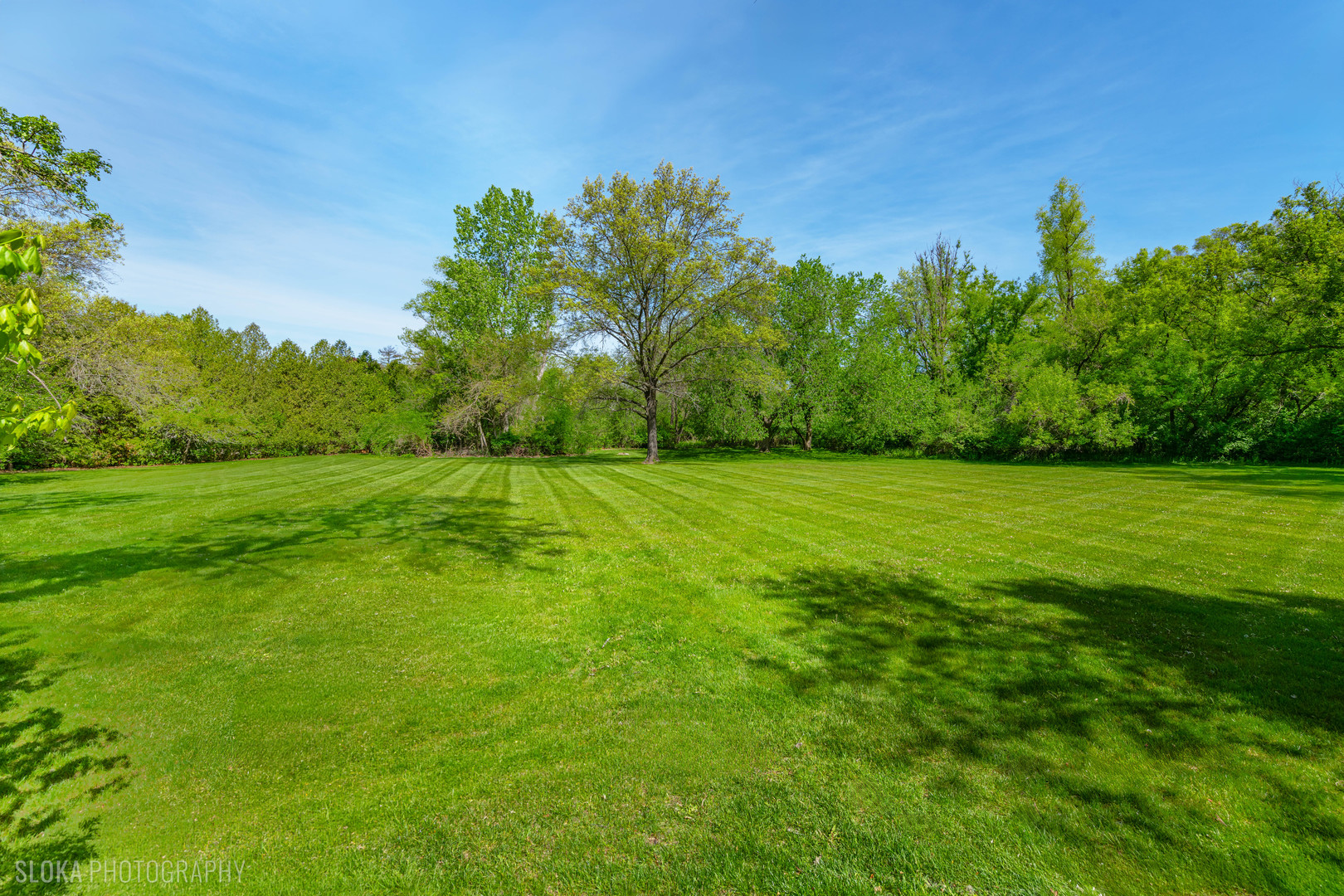main property photo 124