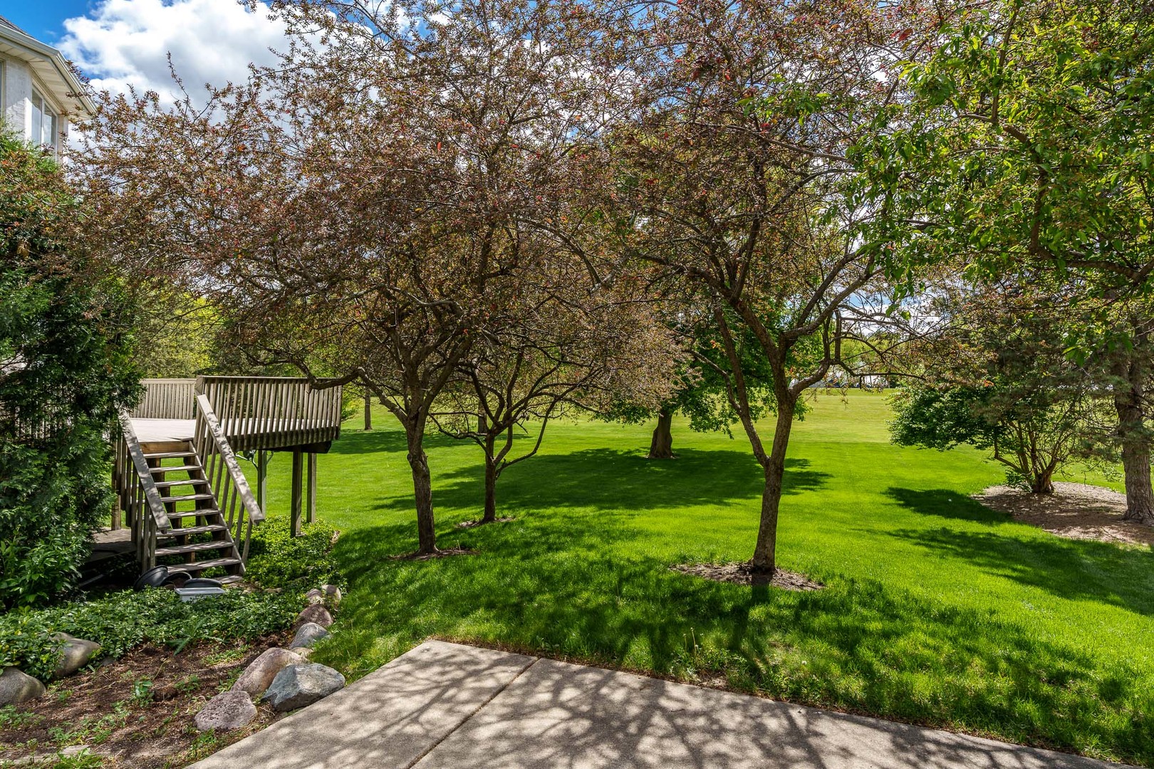 main property photo 38