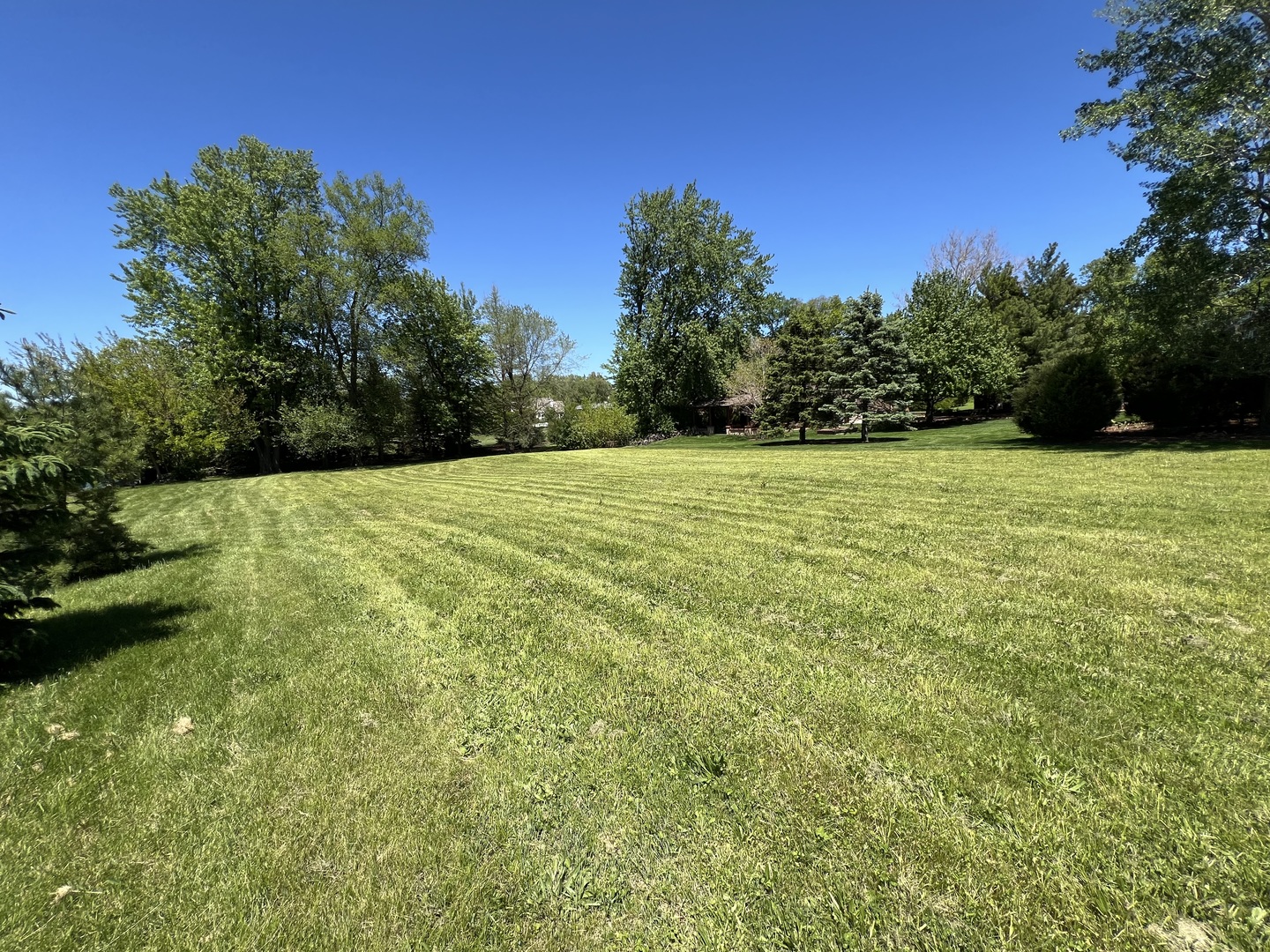 main property photo 7