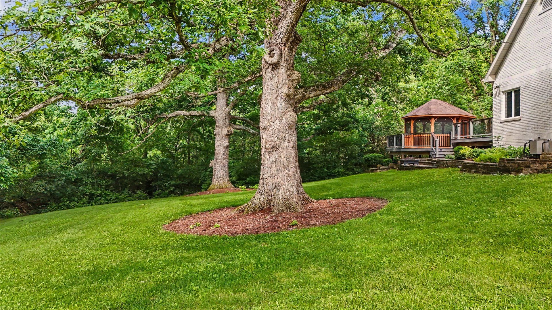 main property photo 62
