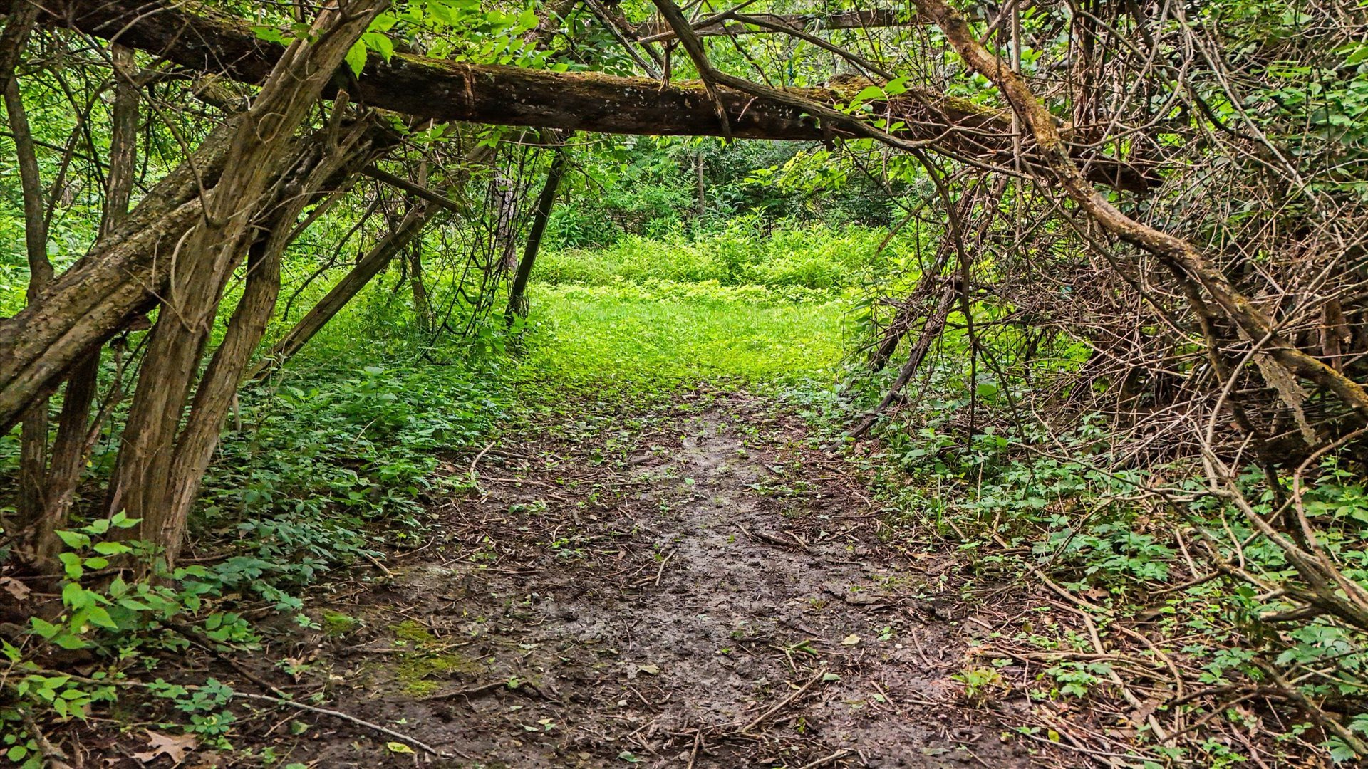 main property photo 69