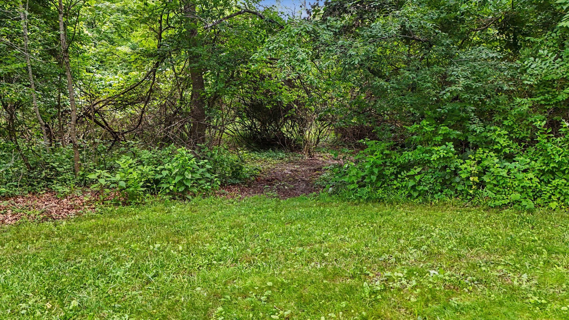 main property photo 70