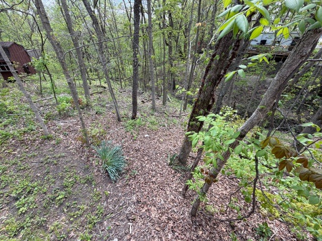 main property photo 16
