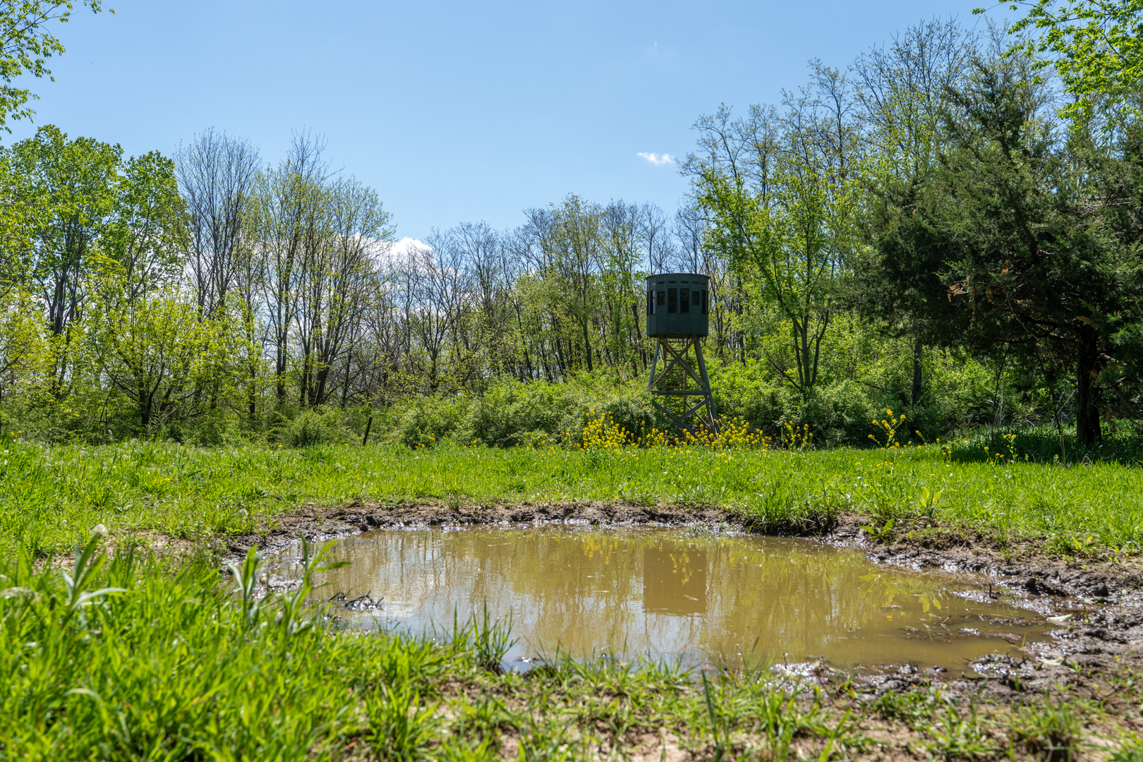 main property photo 19