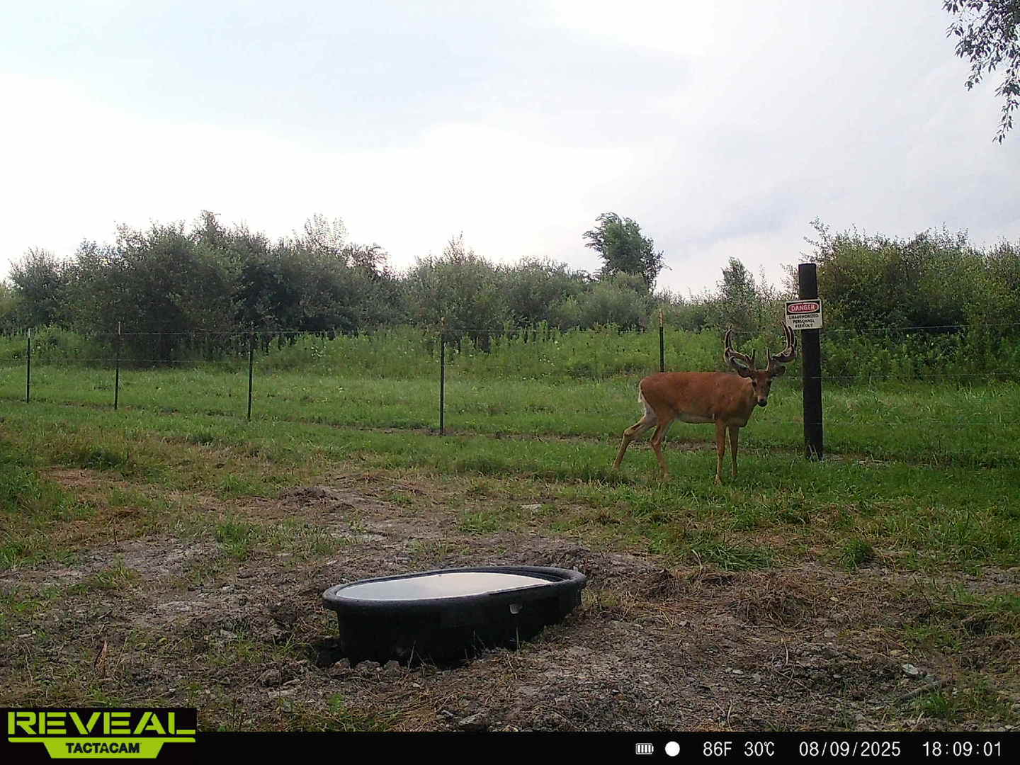 main property photo 32