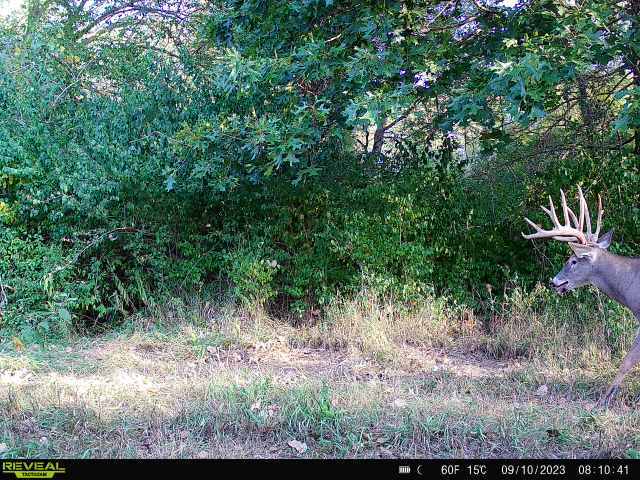 main property photo 37