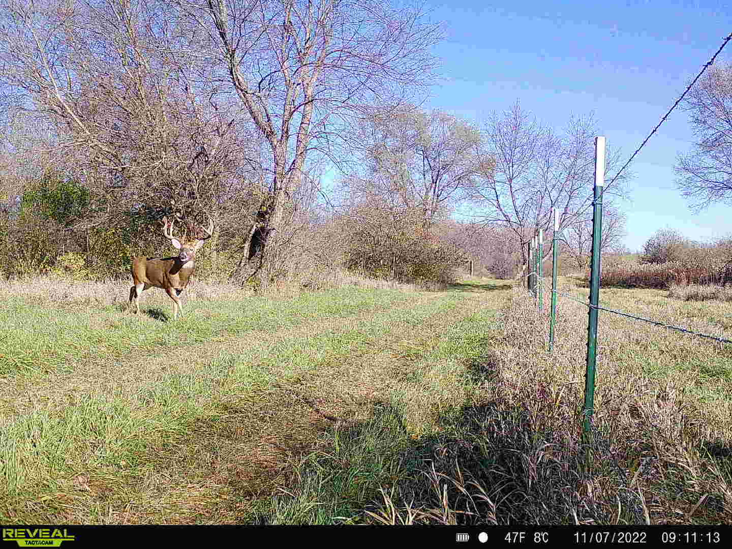 main property photo 39