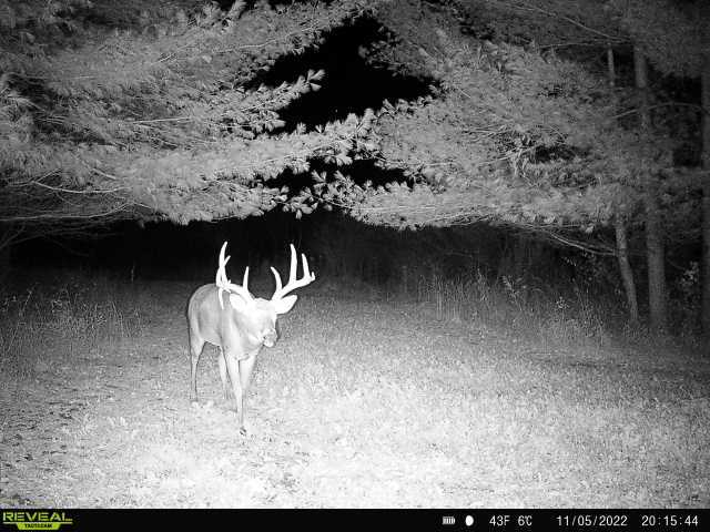 main property photo 40